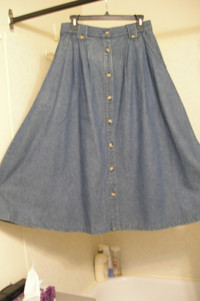 Jean Skirt and Long Jean Dress