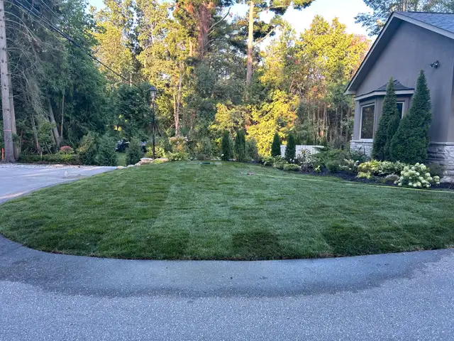 Landscaping, paving, sod replacement63672037425795124