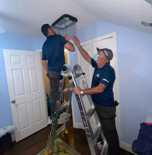 Carpet cleaner, Duct cleaning, Carpet cleaning, Duct 647.4923273628632352613131214