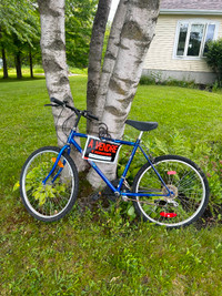 Vélo en bonne condition