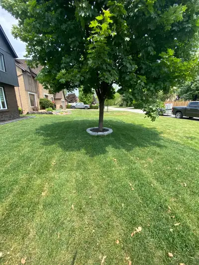 Landscaping, View more