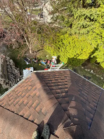 shingle shed , View more