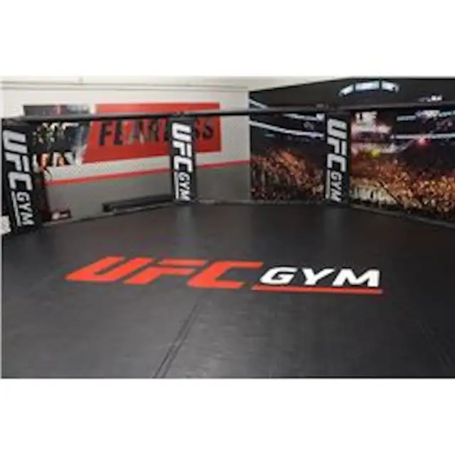 UFC Octagon545697021769830402