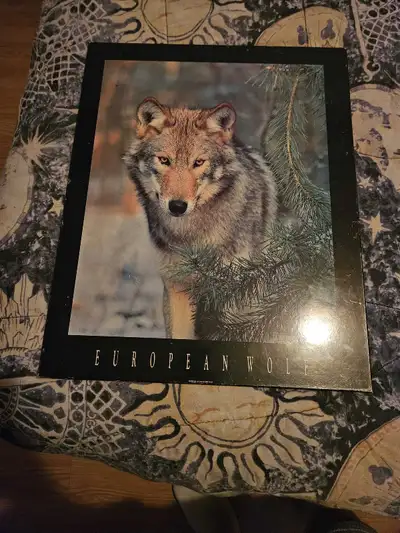 cadres de loup pour mur, View more