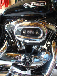 2009 Harley Davidson Sportster XL1200 Low