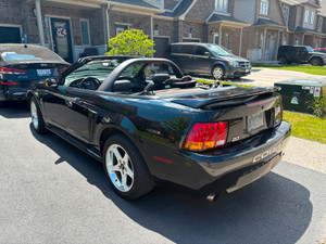 1999 Ford Mustang SVT COBRA
