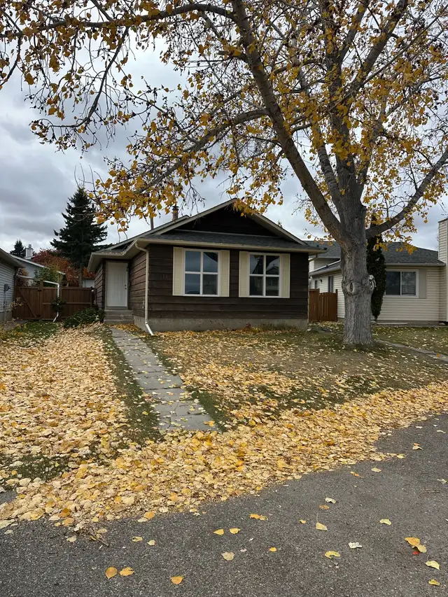 Renovated Bungalow For Rent
