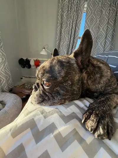 Lego Harry Potter, View more