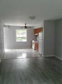 Bright, Spacious, Renovated 2-bdr Townhome in Town of Alvinston