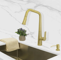 GRANI Brushed Gold Pull-down Dual Spray Kitchen Faucet