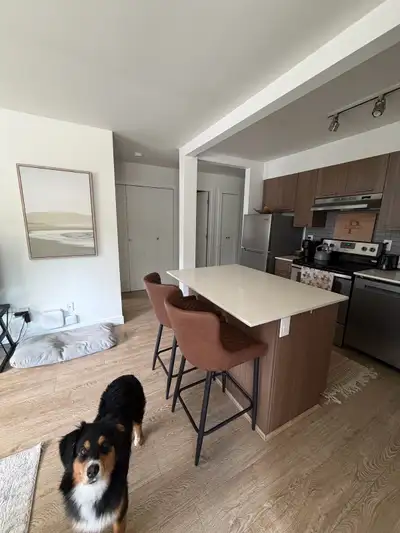 2 Bed | 1 Bath Apartment for Rent – Upper Lonsdale Available July 1st Bright and spacious 2-bedroom,...