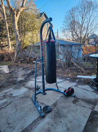 Brand new 70lb heavy bag with stand. 