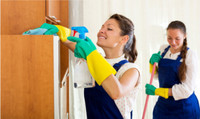 PROFESSIONAL CLEANING SERVICE
