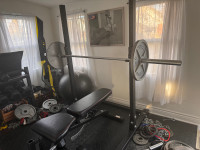 Weight lifting rack & Olympic Barbell