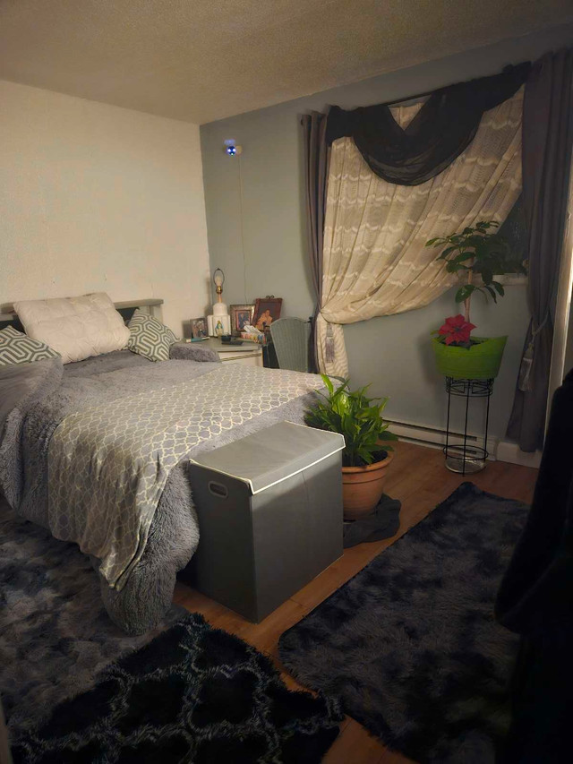 Chambre a Louer ou co-locataire dans Chambres à louer et colocs  à Longueuil/Rive Sud - Image 3