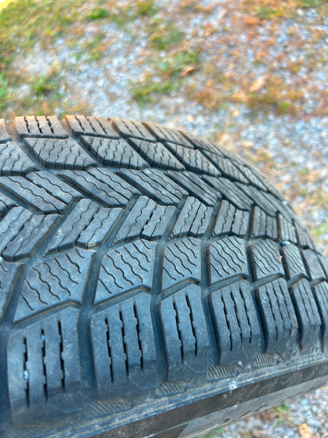 Michelin X-Ice winter tires on steel rims in Tires & Rims in Ottawa - Image 3