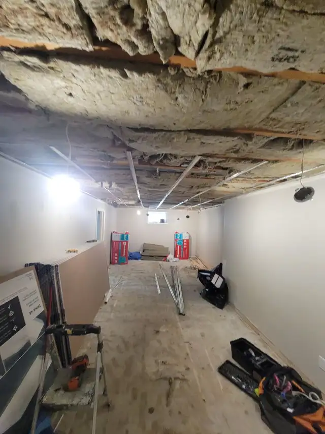 BASEMENT DEVELOPMENTS AND RENOVATIONS428495449317724163