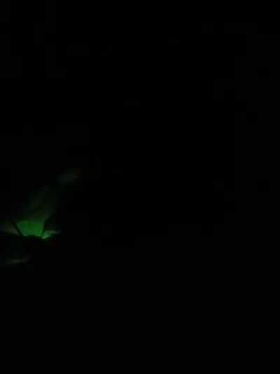 We are looking for a room to rent ASAP......we have our own food. We are friendly and clean couple..