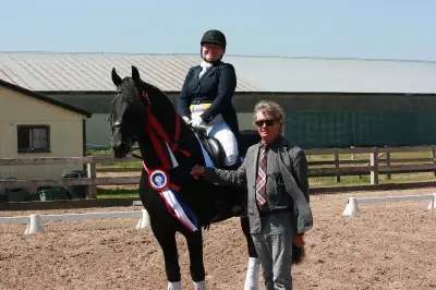 dressage lessons, View more