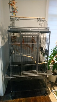 Parrot Cage 32'' L x 23'' W x 78'' H