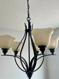 Beautiful Hanging Lamp!