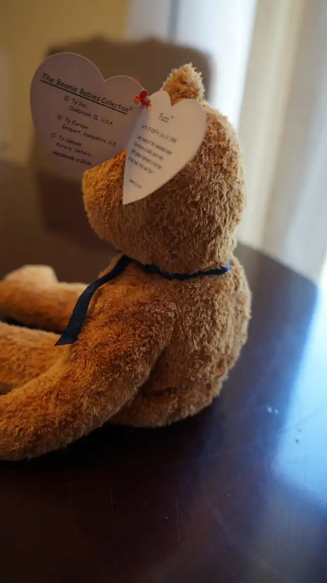 BEANIE BABIES in Other in Norfolk County - Image 11