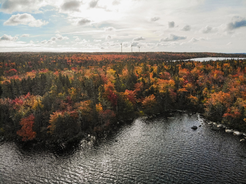 85 Acres of Land with 760 ft of Lake Frontage in Terence Bay in Land for Sale in City of Halifax