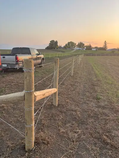 Cattle Fencing , View more
