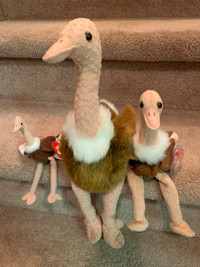 Ty STRETCH the Ostrich Buddy, Beanie Baby & Teenie