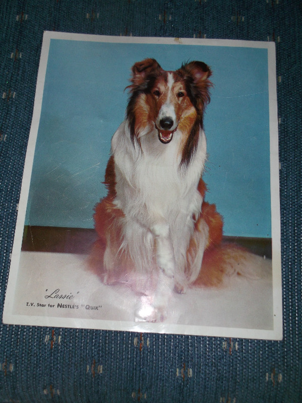 Vintage/Rare "Lassie" (T.V. series) Items-All items-$38.00 in Arts & Collectibles in City of Halifax - Image 4