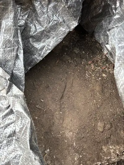 Free clean top soil, View more