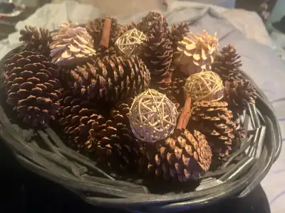 Basket with Pinecones, View more