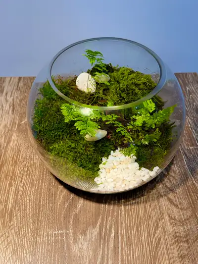 Wabi-Kusa, View more