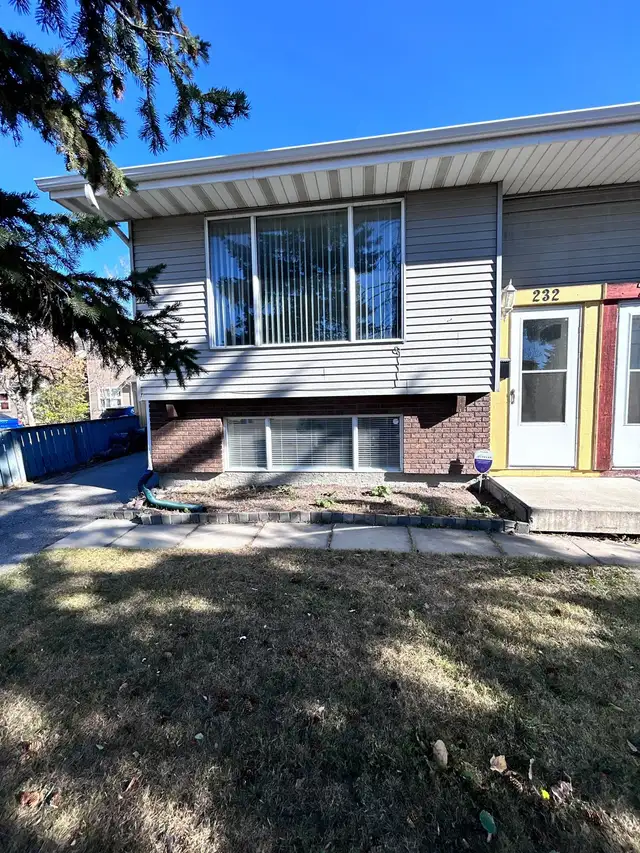 Newly renovated basement for rent 
