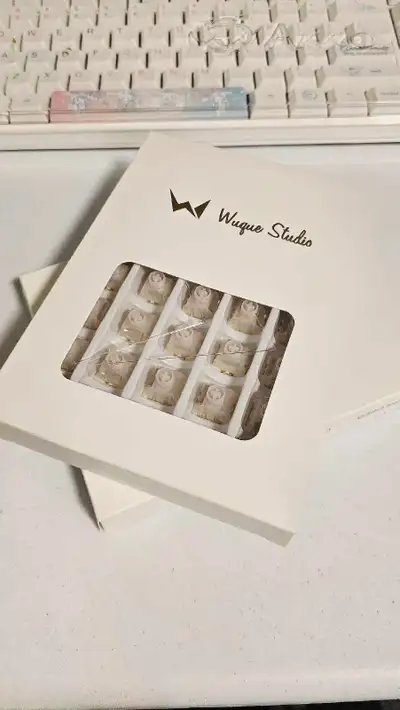Wuque WS Flux Magnetic Switches (70Pcs), View more