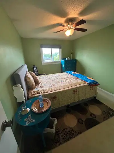 rent in rent