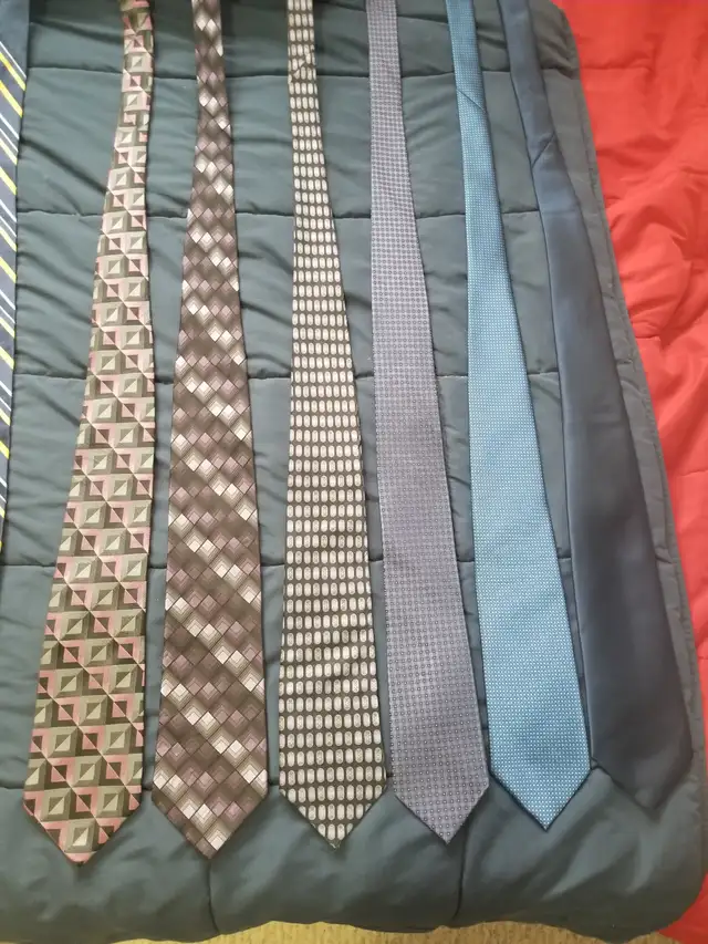 Neck ties in Men's in Edmonton - Image 5