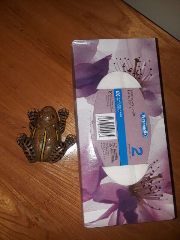 Ceramic  frog magnet for fridge $5 in Hobbies & Crafts in Moncton - Image 2