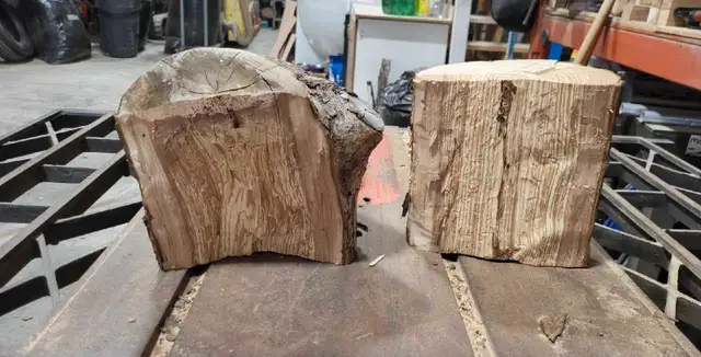 Wood turning blanks (4 local fruit species available!!!!) in Hobbies & Crafts in Winnipeg - Image 4