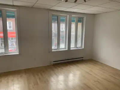 Grand appartement 4 1/2 bien entretenu et lumineux à louer à Shawinigan. Chauffage et électricité IN...