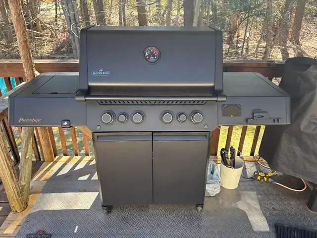 Napolean bbq in BBQs & Outdoor Cooking in Barrie - Image 3