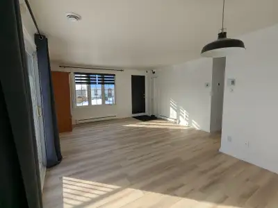 4 1/2 dans duplex. Disponible dès maintenant. Immense terrasse avec vue partielle sur le fleuve et b...