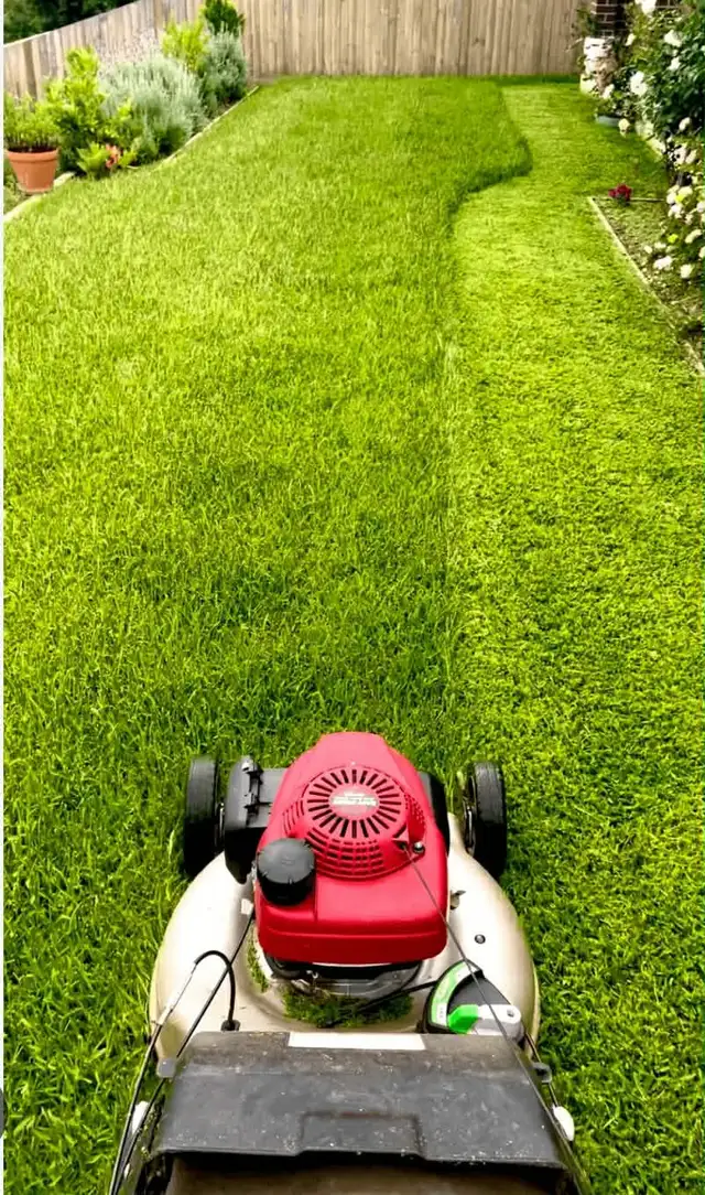 lawn care grass cut in Lawn, Tree Maintenance & Eavestrough in Windsor Region - Image 3