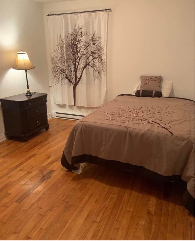 chambre à louer — photo 1