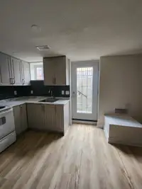 Bright New 2 Bed Basement for Rent