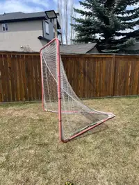 Field lacrosse net 