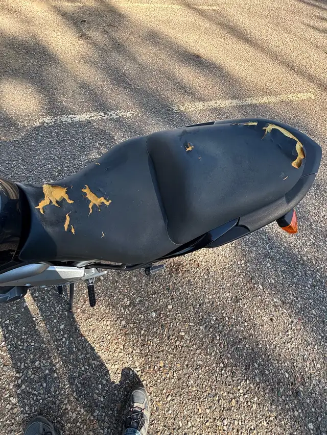 2007 Kawasaki Versys 650cc in Sport Touring in Medicine Hat - Image 4