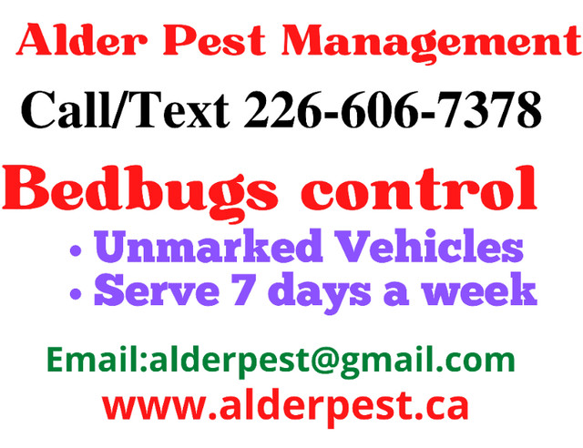 Pest control services Kitchener, Waterloo, Call 226-606-7378 in Other in Kitchener / Waterloo - Image 2