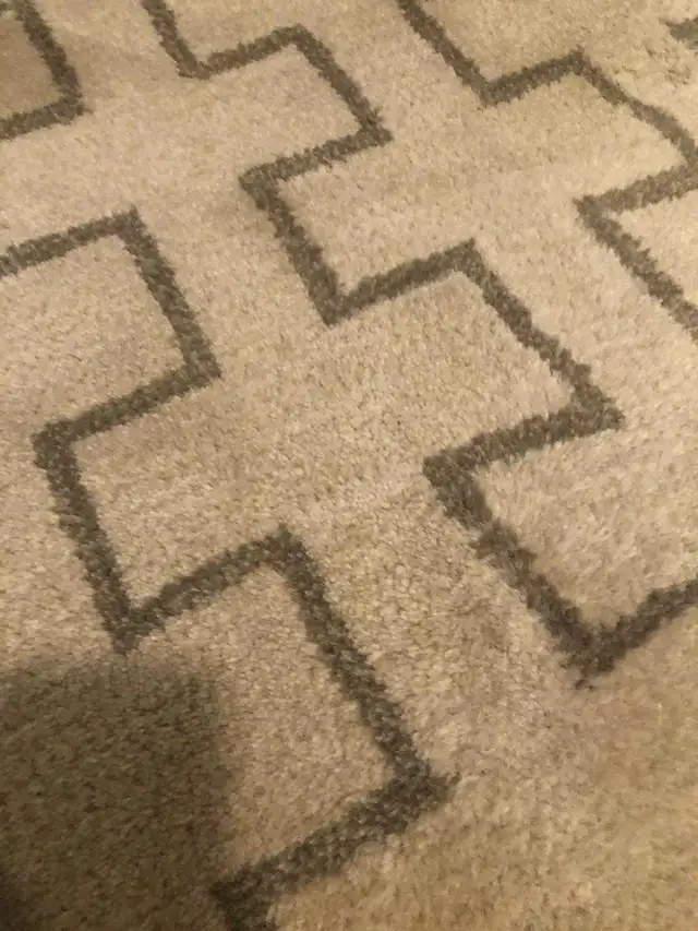 Wool Rug (5'x8') in Rugs, Carpets & Runners in Markham / York Region - Image 4