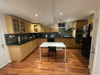 nice bright basement apartment